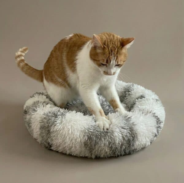 Calming Donut Cat Bed - Soft & Fluffy