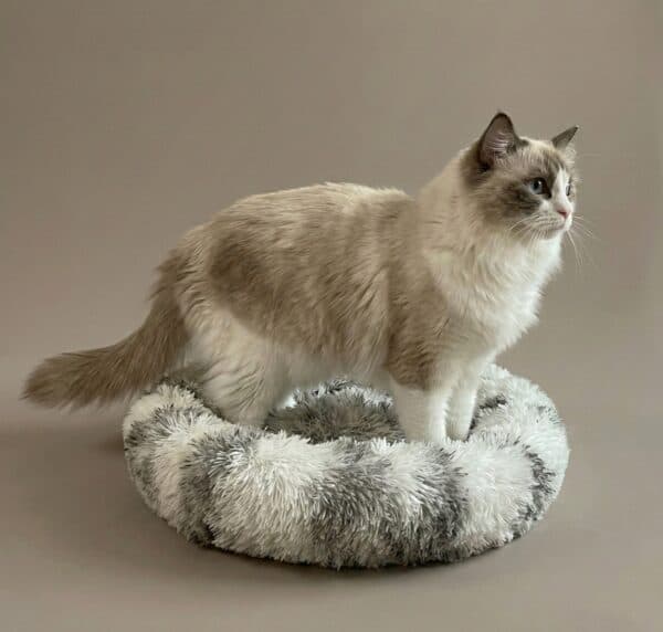 Calming Donut Cat Bed - Soft & Fluffy