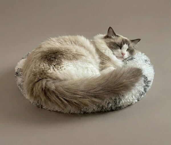 Calming Donut Cat Bed - Soft & Fluffy
