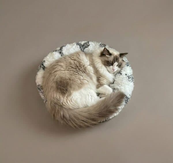 Calming Donut Cat Bed - Soft & Fluffy
